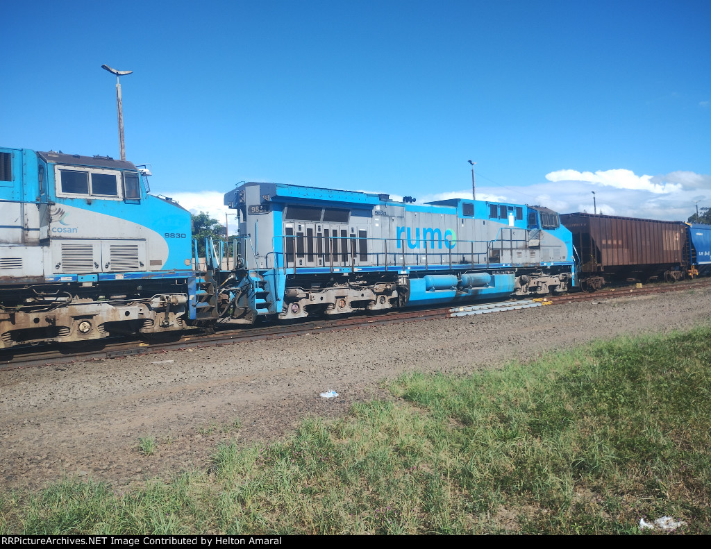RUMO 9831
